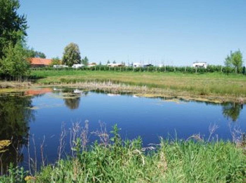 Camping De La Mottelette Forest-Montiers Екстер'єр фото